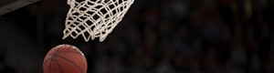 NBA美国职业篮球联赛标志